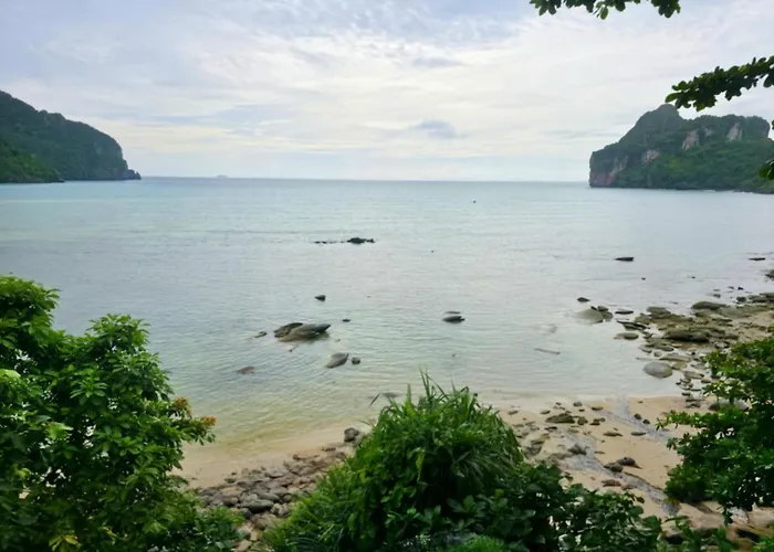 Phi Phi Seaside Bungalow